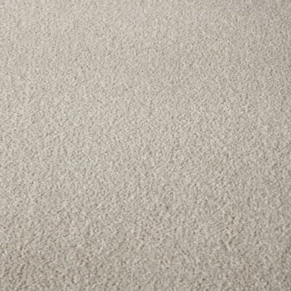 Beige Carpet Flooring