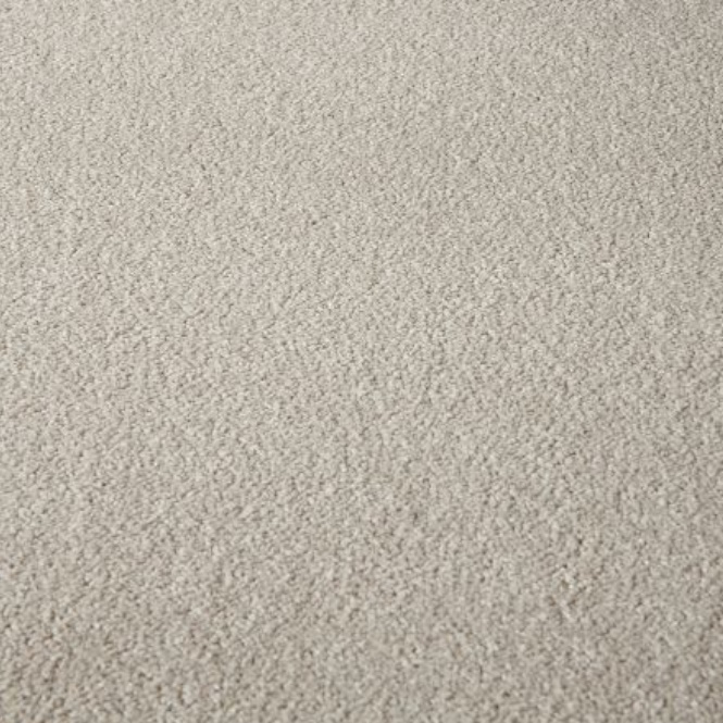 Beige Carpet Flooring