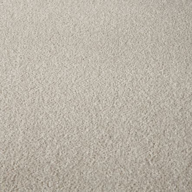 Beige Carpet Flooring