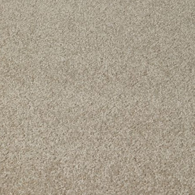Light Grey Carpet Flooring