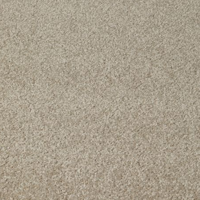 Light Grey Carpet Flooring