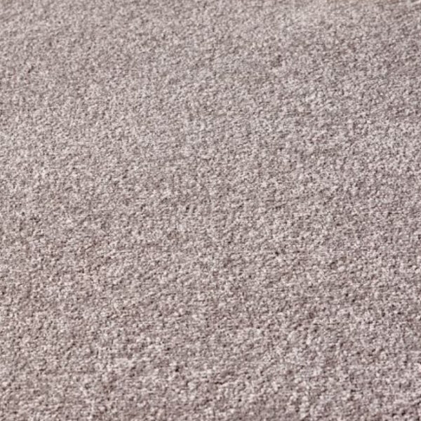 Lilac Carpet Flooring