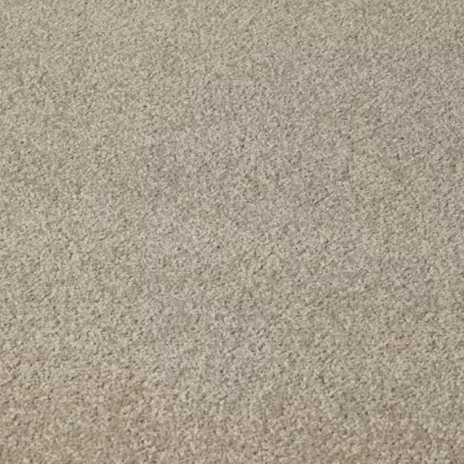 Light Grey Carpet Flooring
